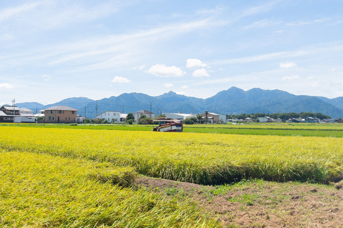 お盆も営業中🌻🦌