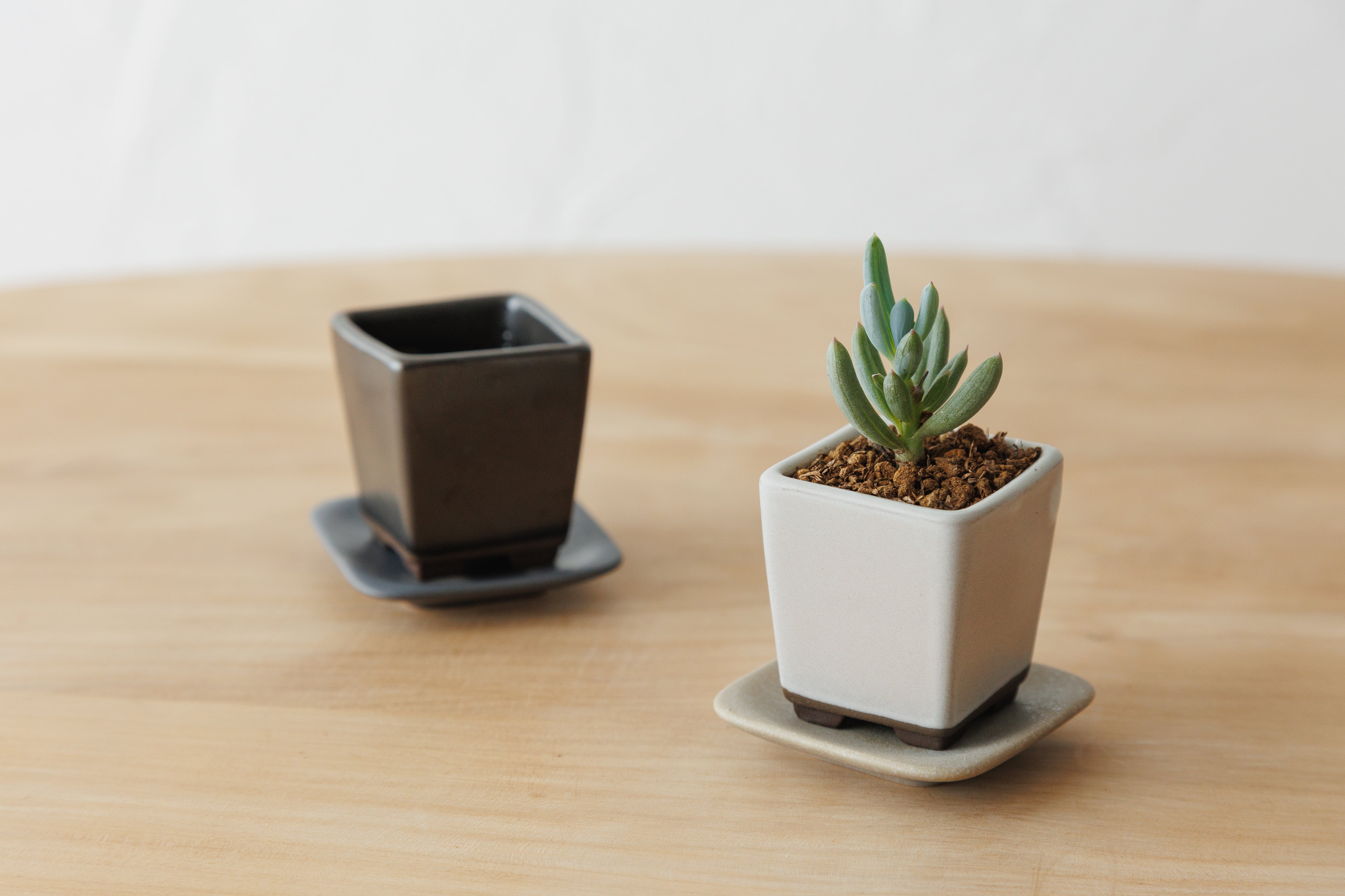ミニ植木鉢 – かもしか道具店オンラインショップ